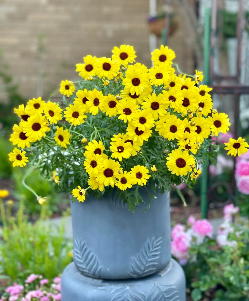 Tử vi hàng ngày - Thứ Tư 9/11/2022 của 12 cung hoàng đạo